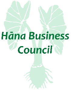 Hana Business Council